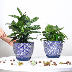 Close-up of Selamica ceramic planter with saucer