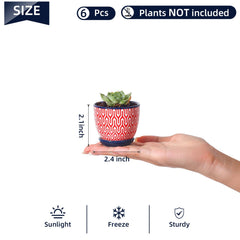 Close-up of Selamica Ceramic Pot's Elegant Design