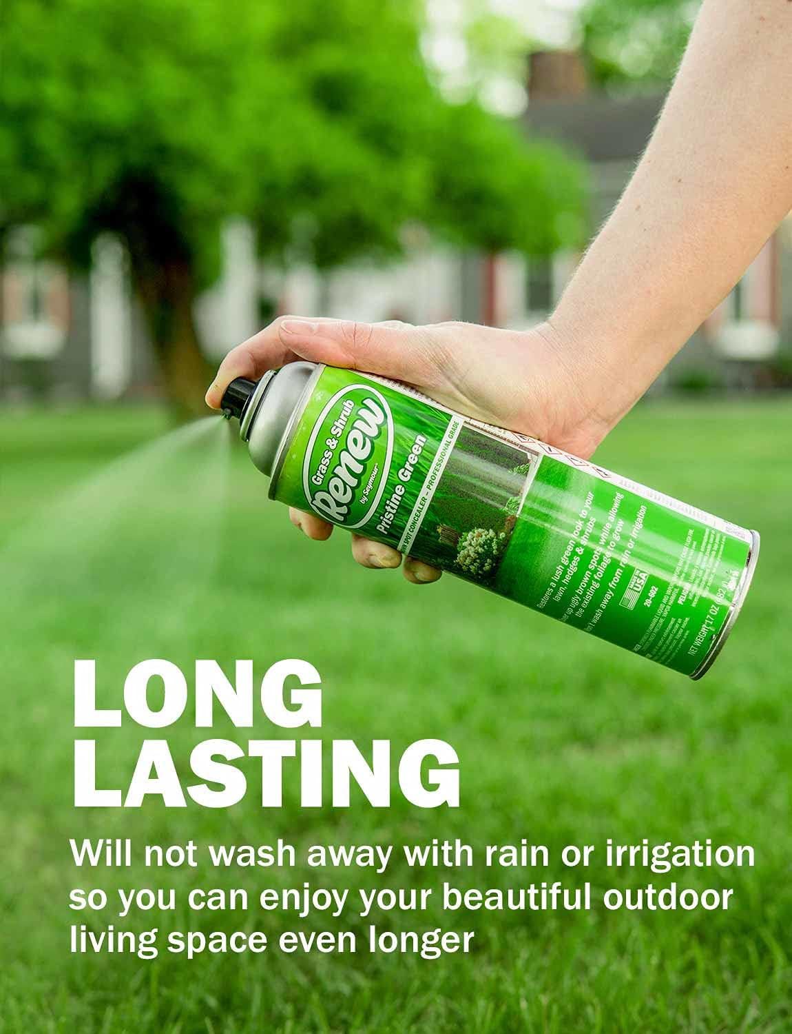 Close-up of Seymour Grass and Shrub Spray Paint nozzle