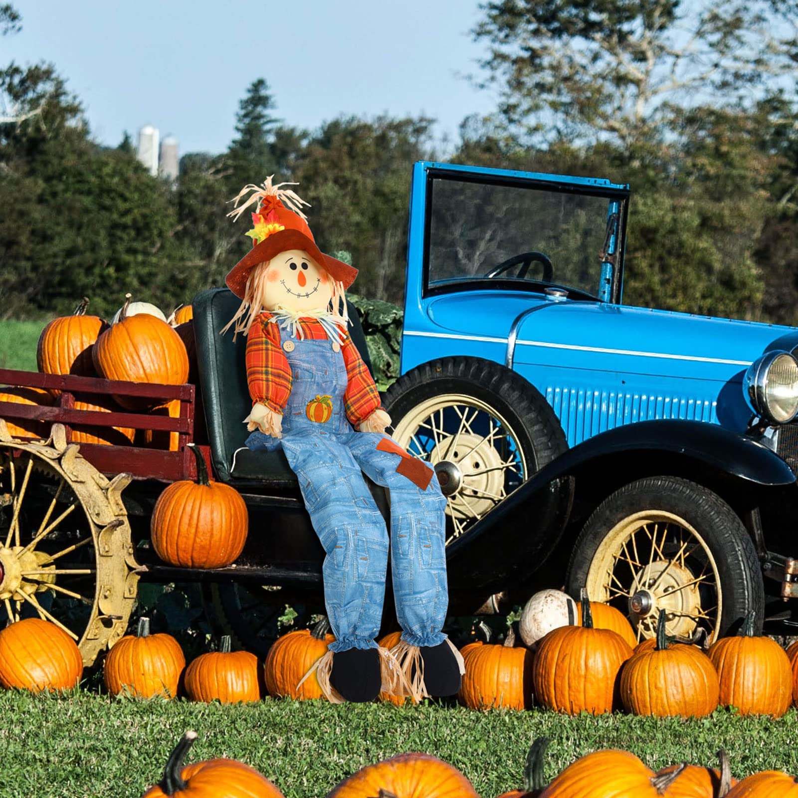Close-up of Shappy scarecrow's friendly face