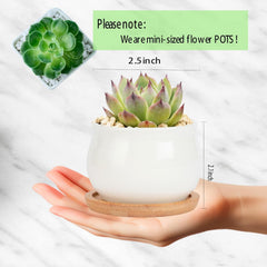Close-up of SHECIPIN small succulent pot with bamboo tray