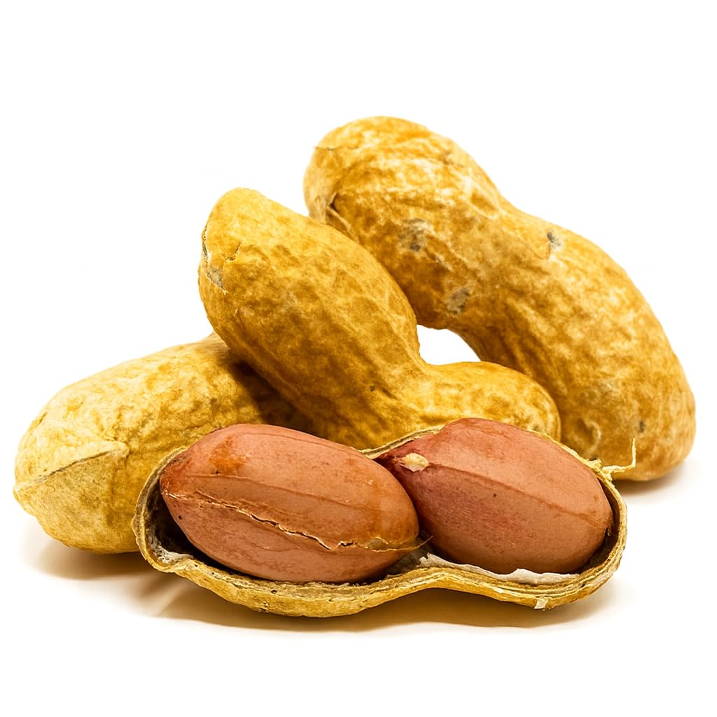 Close-up of Sky raw peanuts in shell