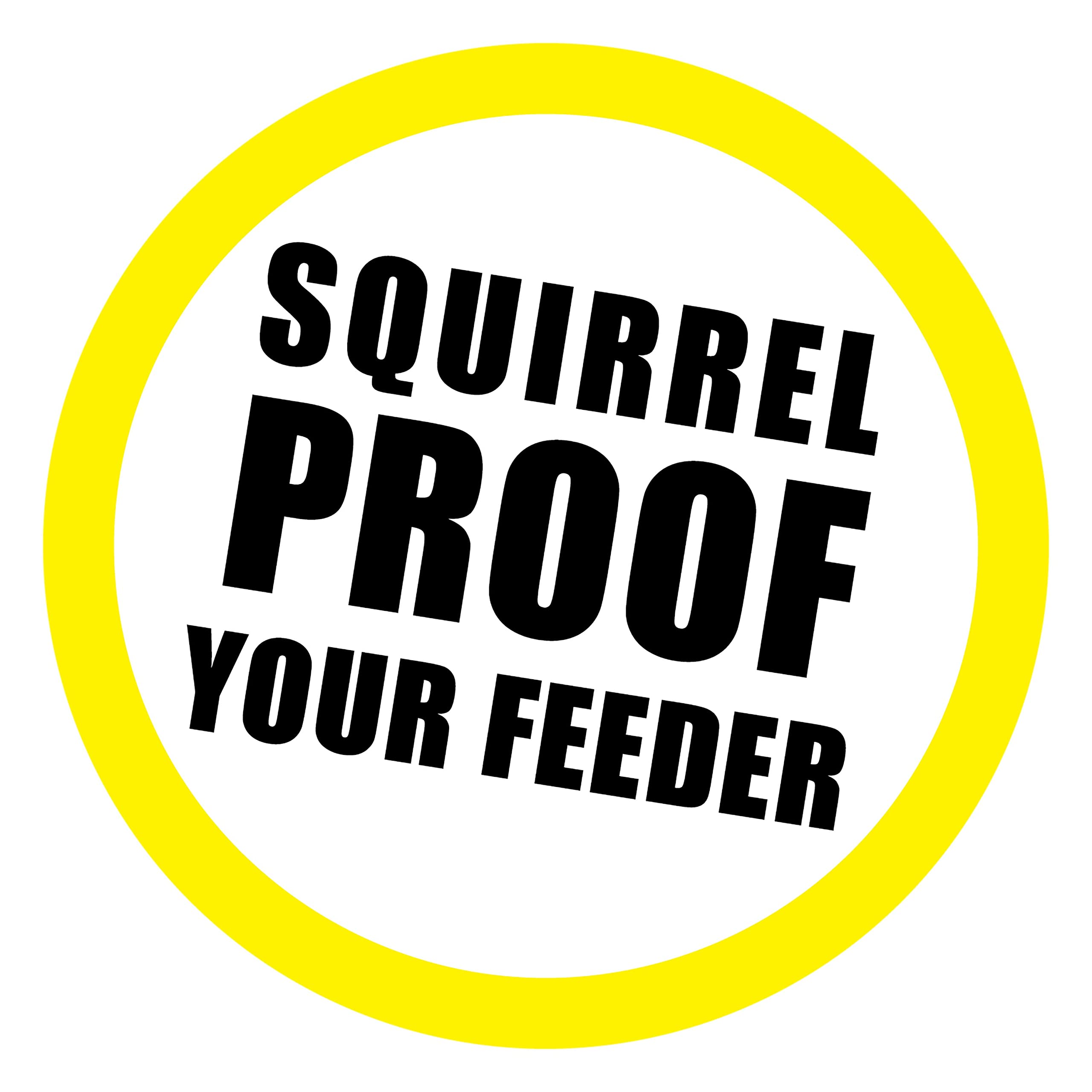 Close-up of Slinky Scram, Squirrel showing its 36-inch length
