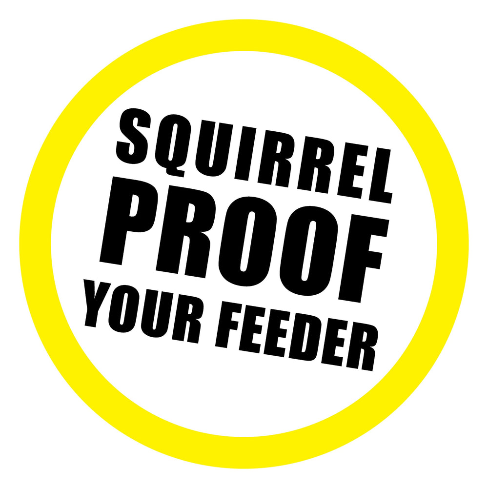 Close-up of Slinky Scram, Squirrel showing its 36-inch length