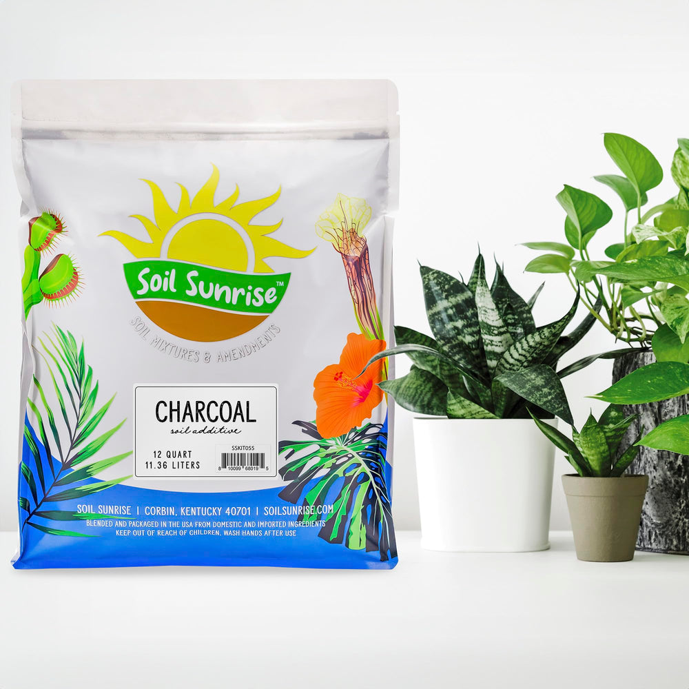 Close-up of Soil Sunrise Horticultural Charcoal chips