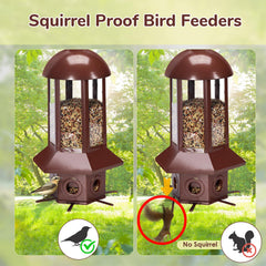 Close-up of Sorflife bird feeder's weight-activated perches