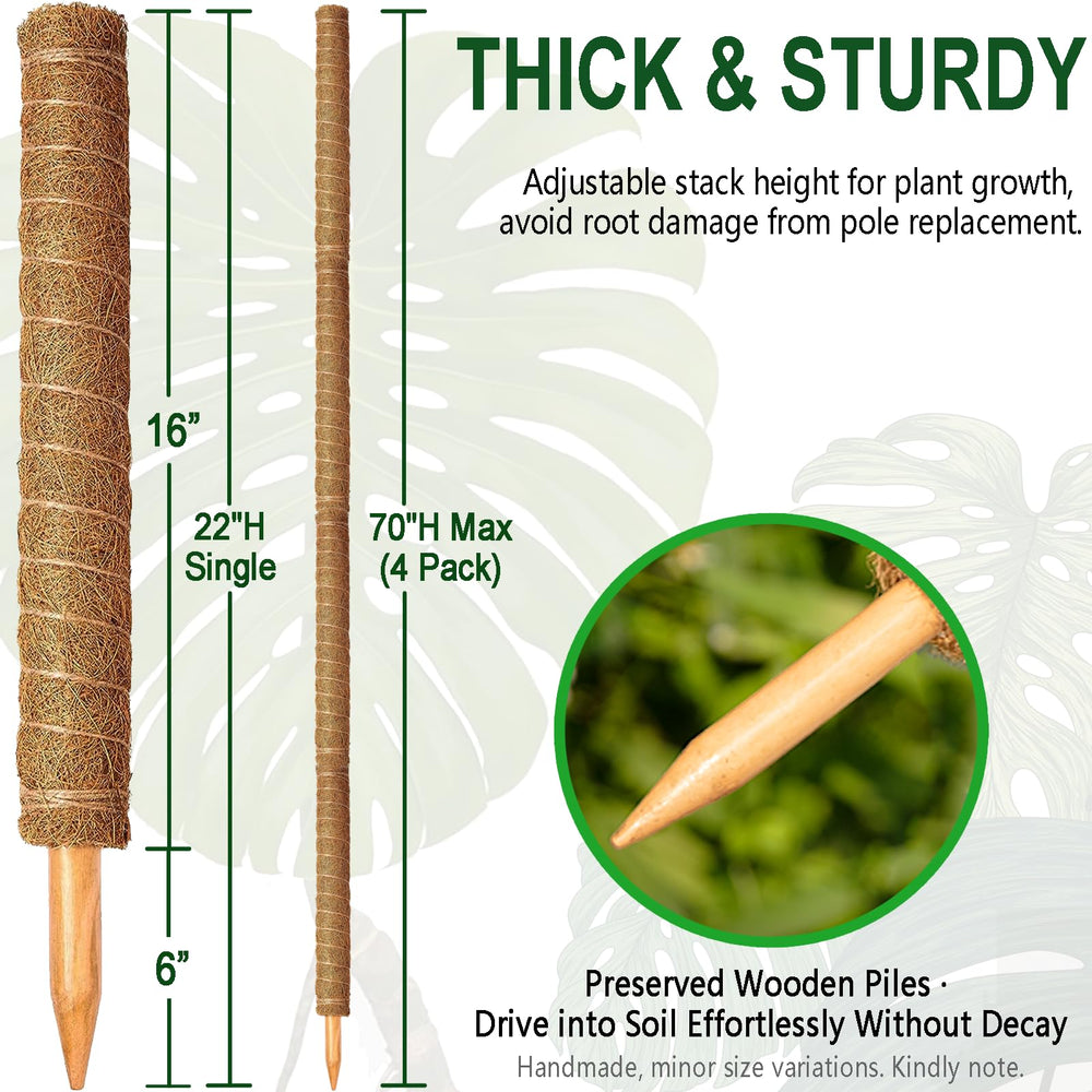 Close-up of Soupiar Coir Moss Pole with wooden stake