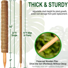 Close-up of Soupiar Coir Moss Pole with wooden stake