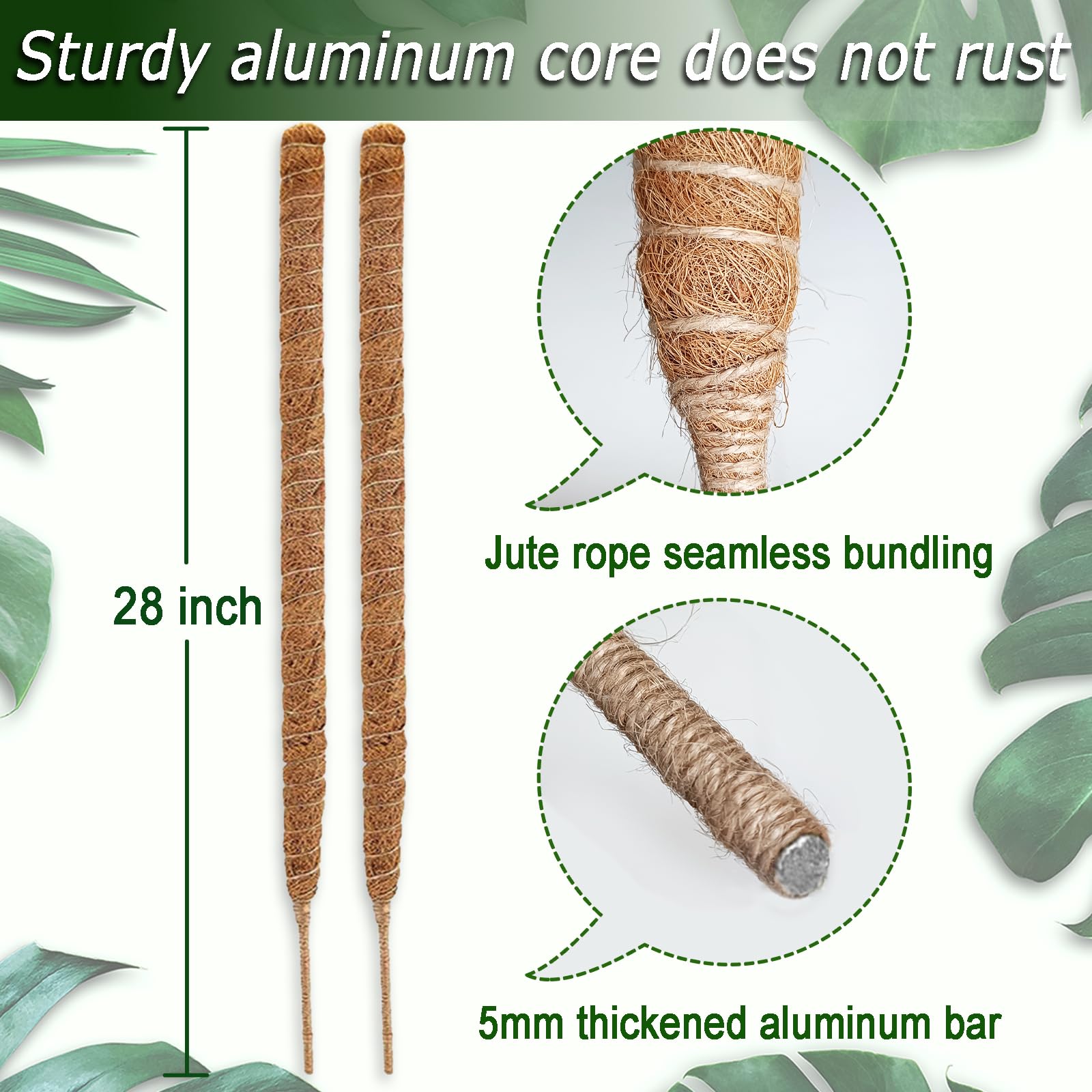 Close-up of Soupiar moss pole showing natural coir material