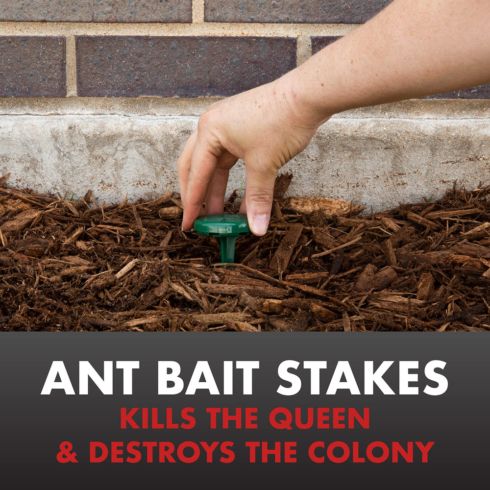 Close-up of Spectracide Ant Shield stake with bait