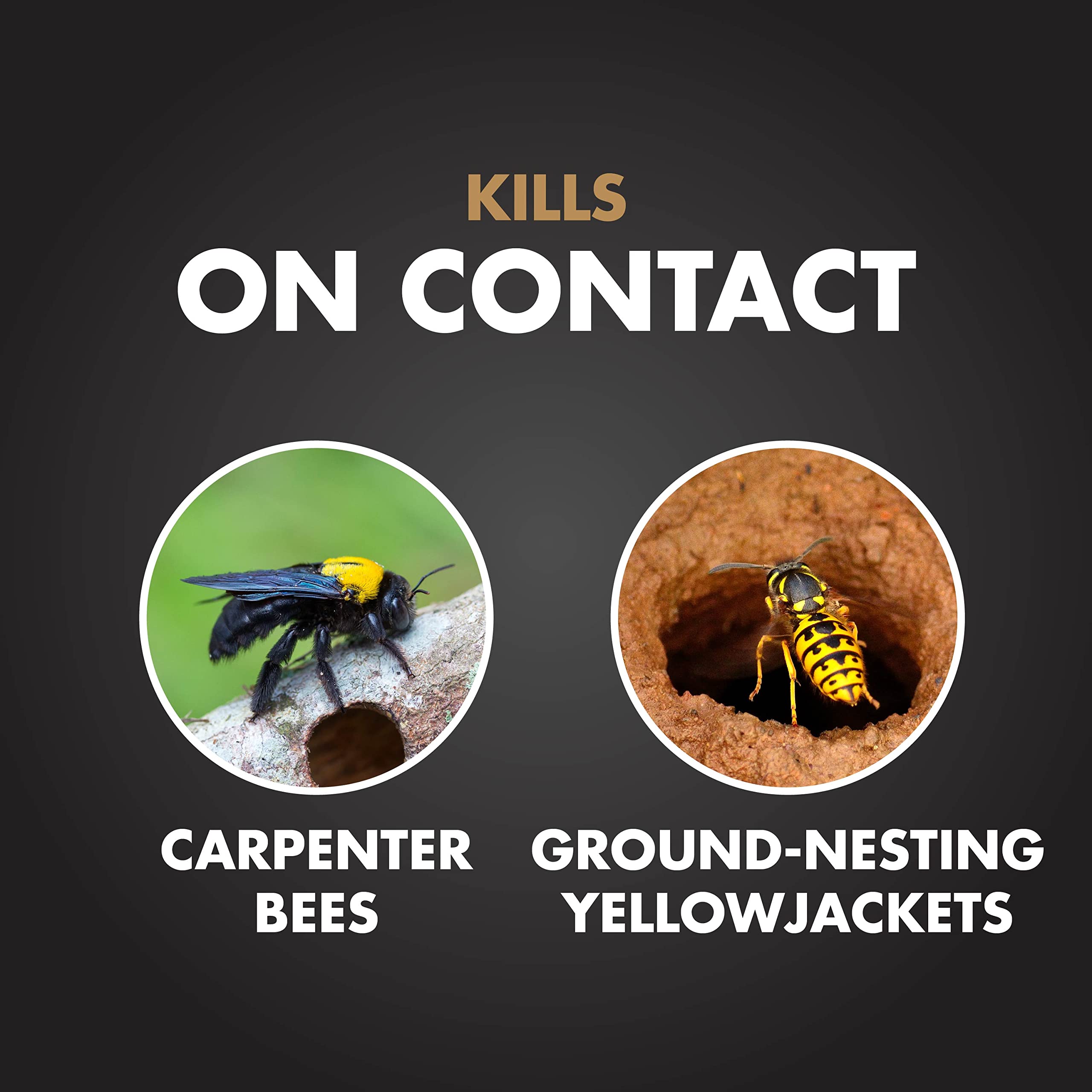 Close-up of Spectracide Carpenter Bee & Yellowjacket Killer foam nozzle