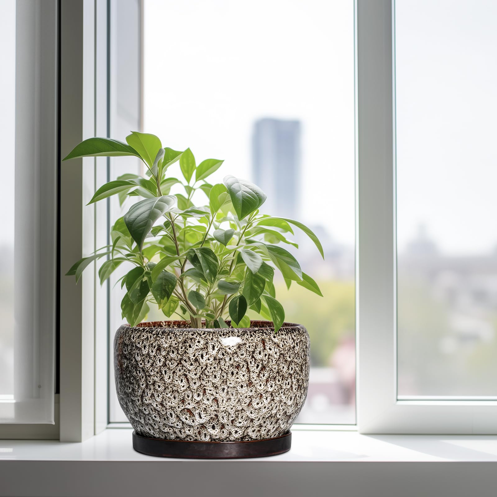 Close-up of SQOWL plant pot showing the mesh pad