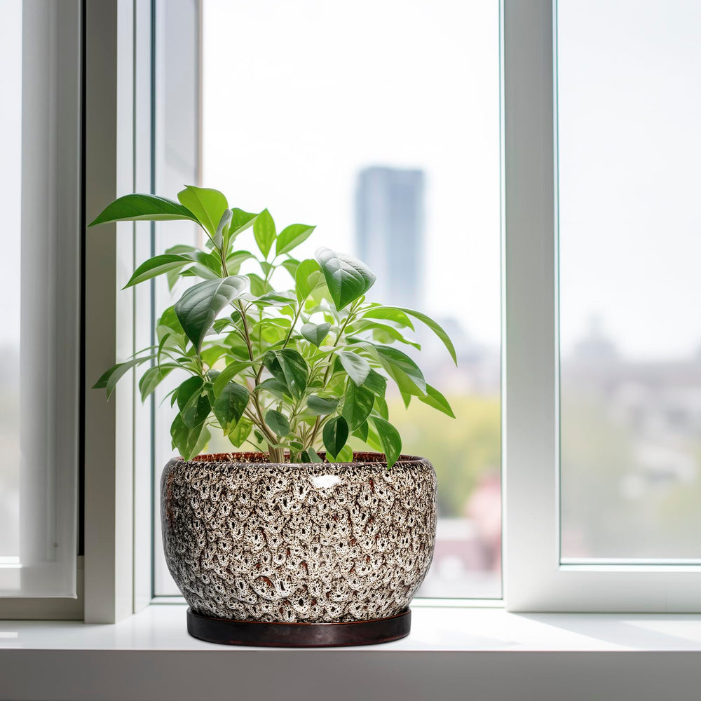 Close-up of SQOWL plant pot showing the mesh pad