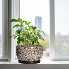 Close-up of SQOWL plant pot showing the mesh pad