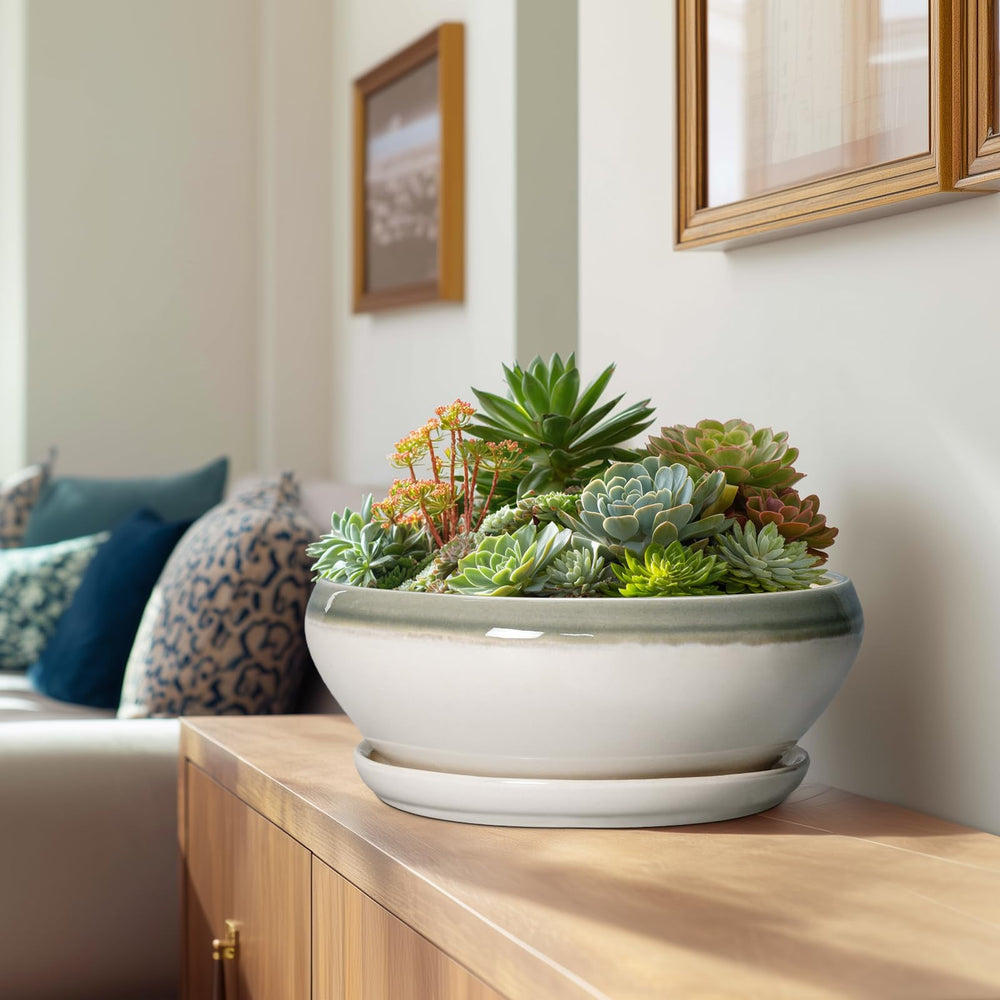 Close-up of SQOWL succulent planter's ice-cracked glaze finish