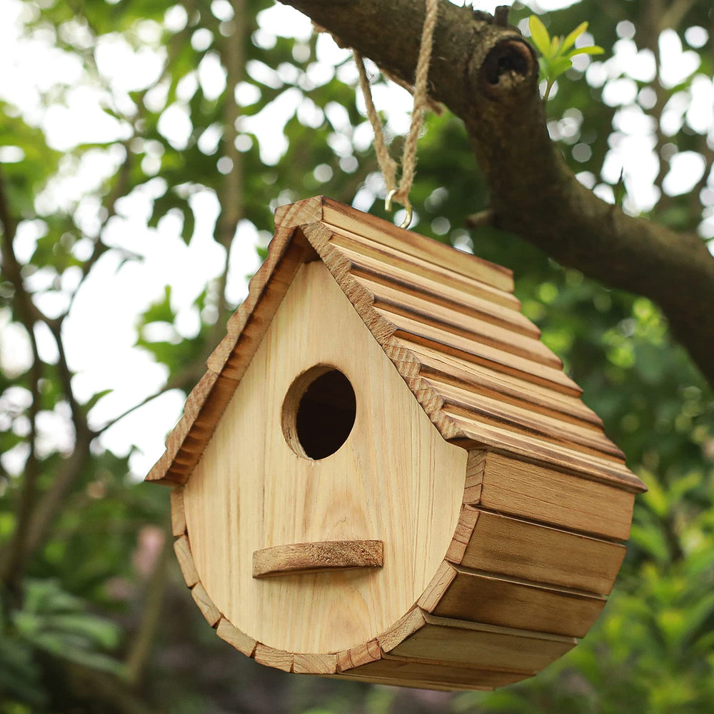 Close-up of STARSWR birdhouse entrance with platform