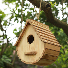 Close-up of STARSWR birdhouse entrance with platform