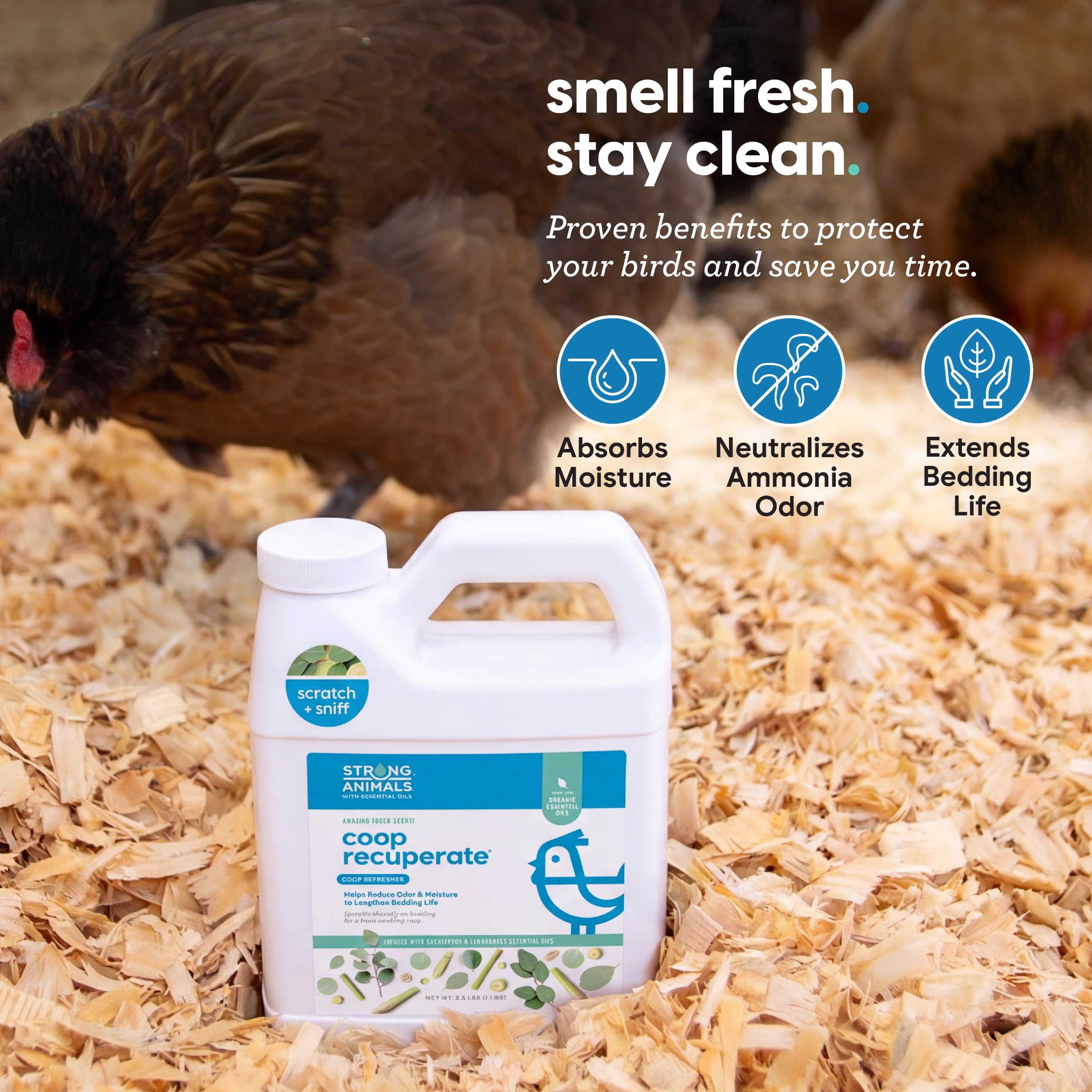 Close-up of Strong Animals Coop Refresher liquid form