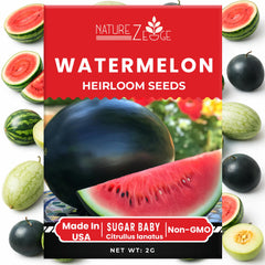 Close-up of Sugar Baby melon seeds from NatureZ Edge
