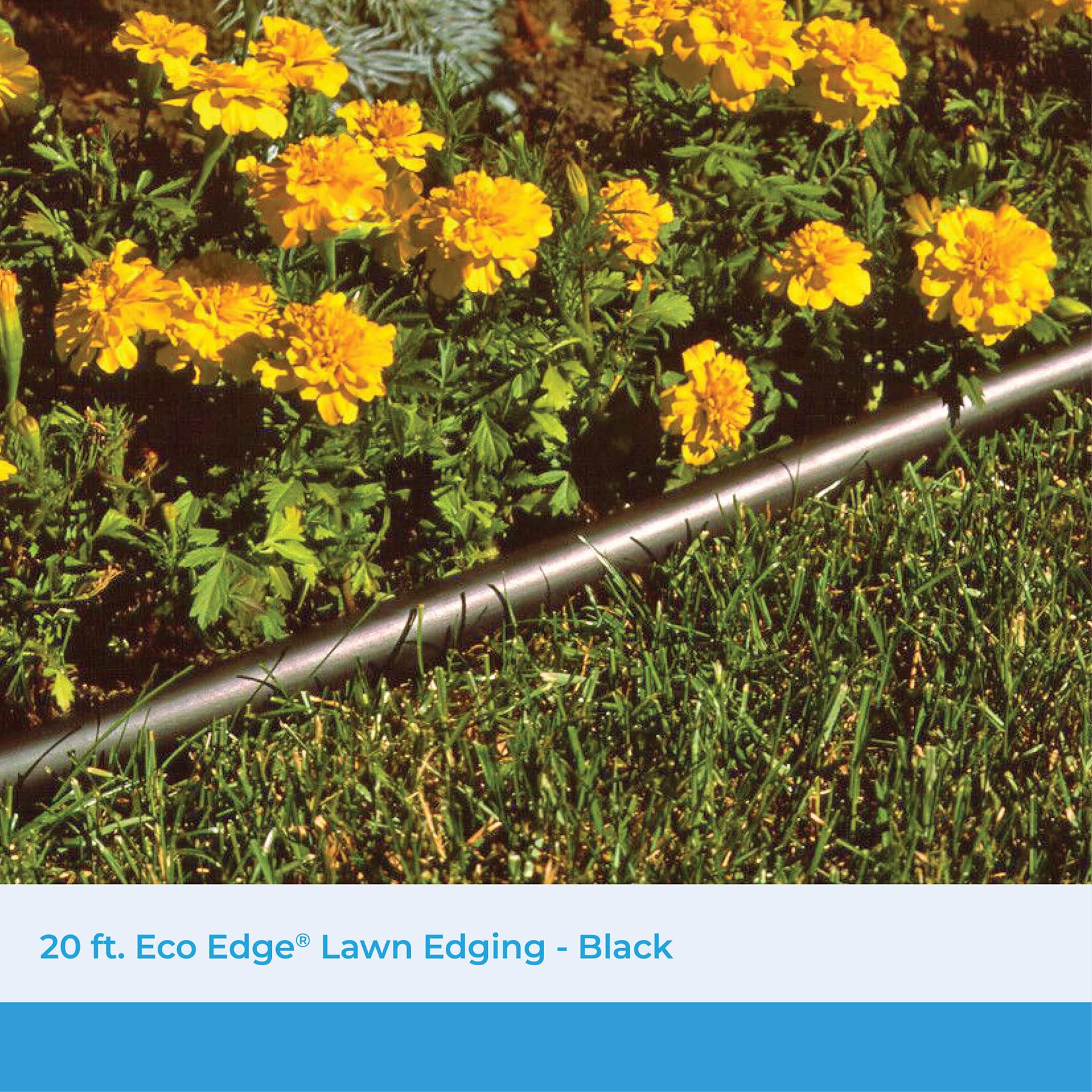 Close-up of Suncast Landscape Edging showing flexibility