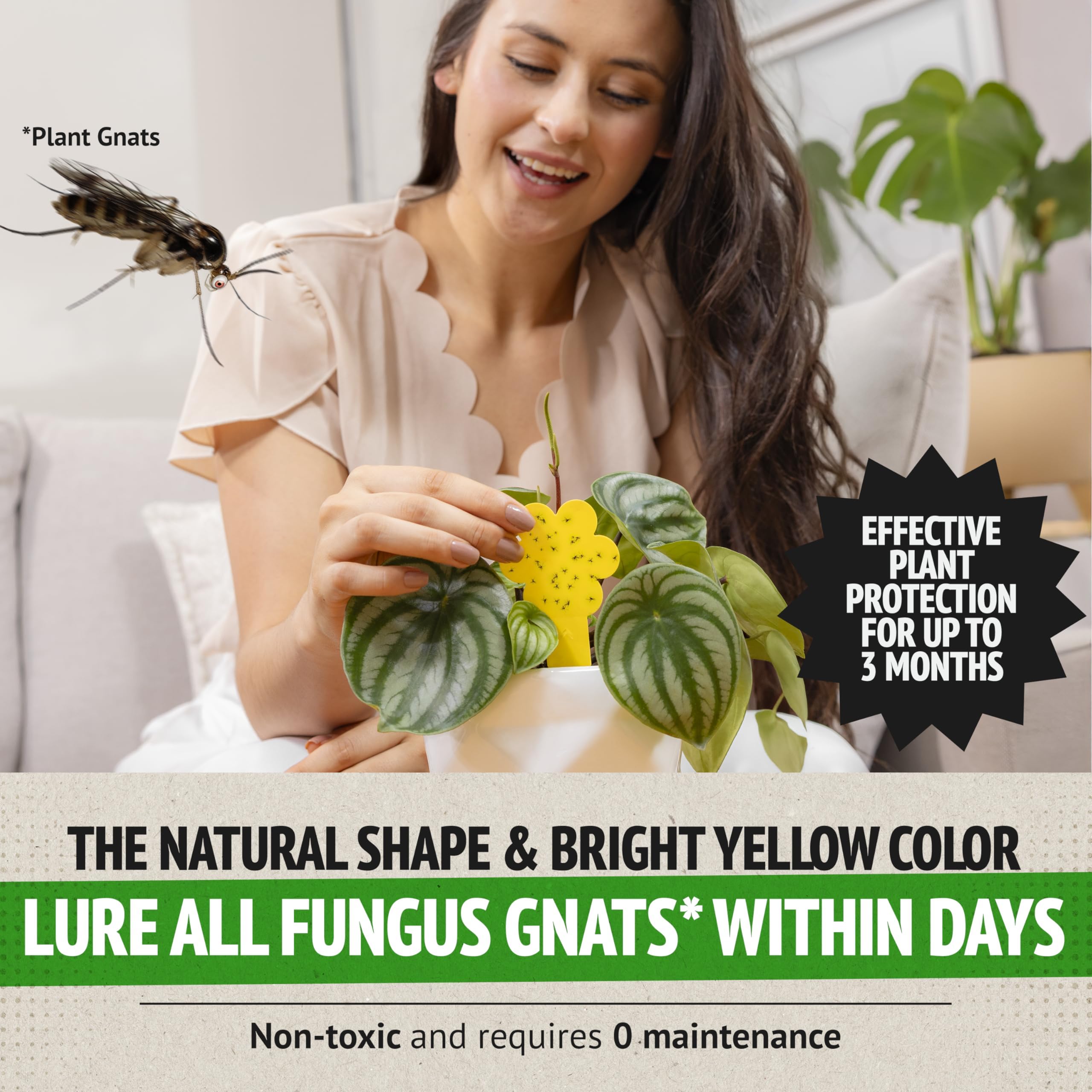 Close-up of Super Ninja yellow sticky trap for plants