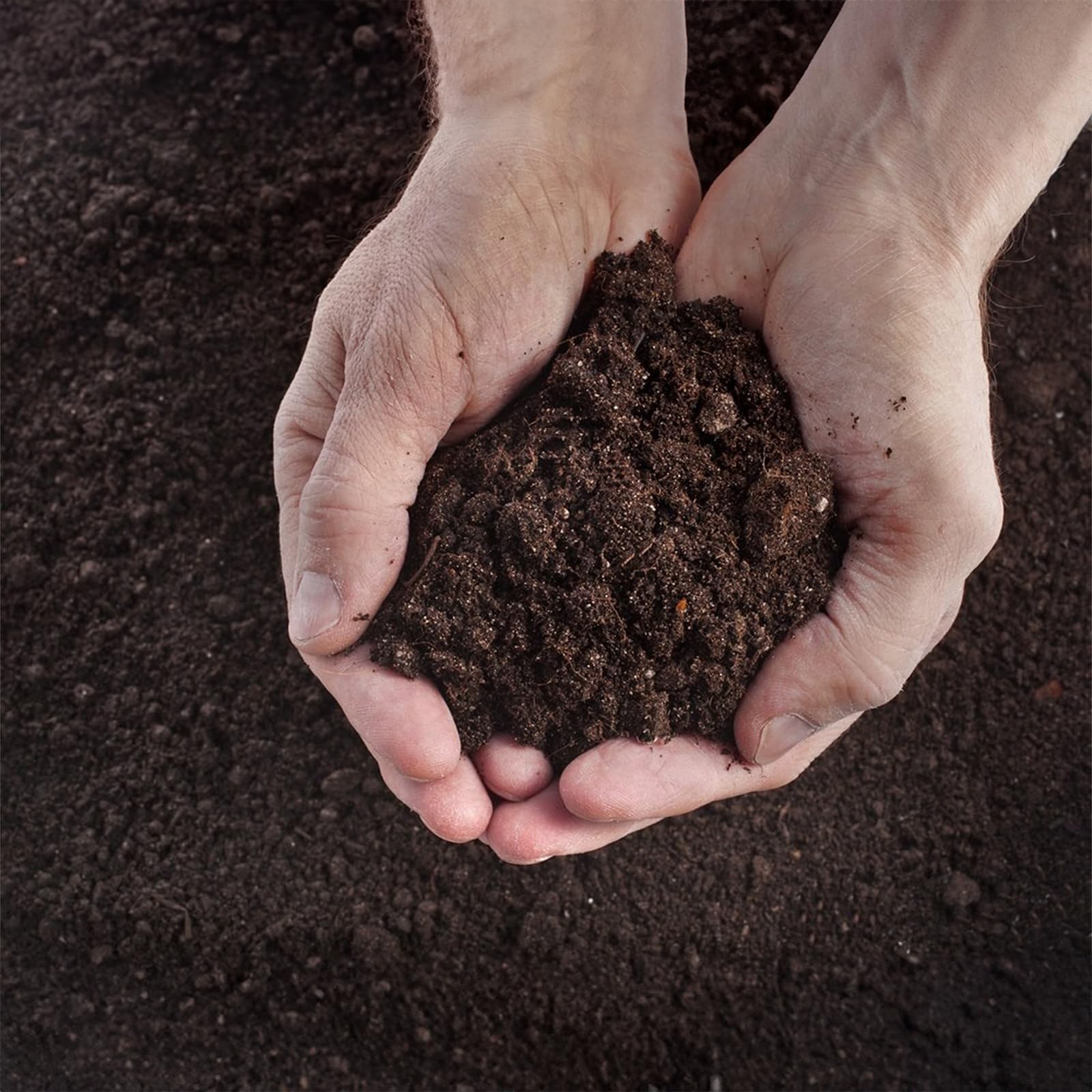 Close-up of SuperMoss Potting Mix texture and ingredients