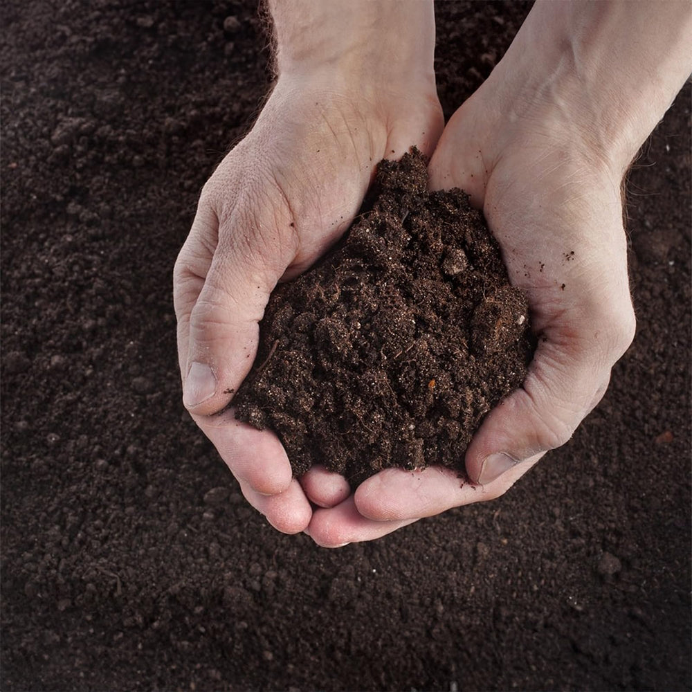 Close-up of SuperMoss Potting Mix texture and ingredients