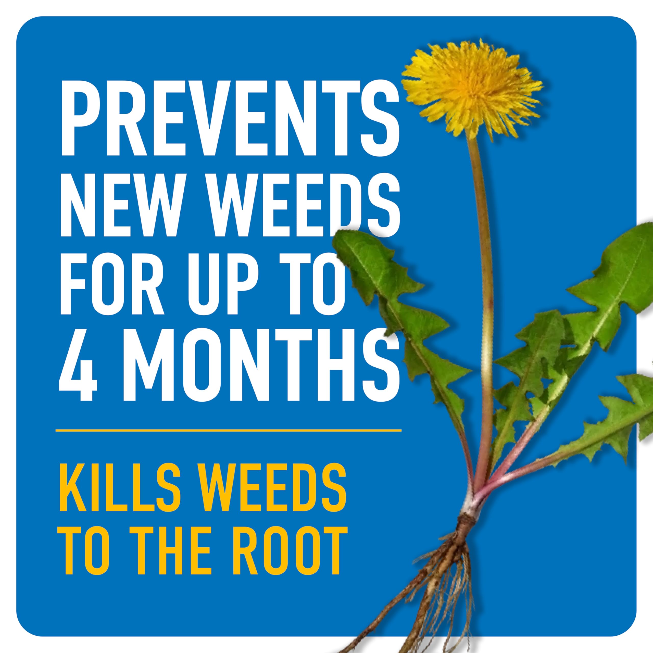 Close-up of Sure Shot Wand of Roundup Dual Action Weed Killer