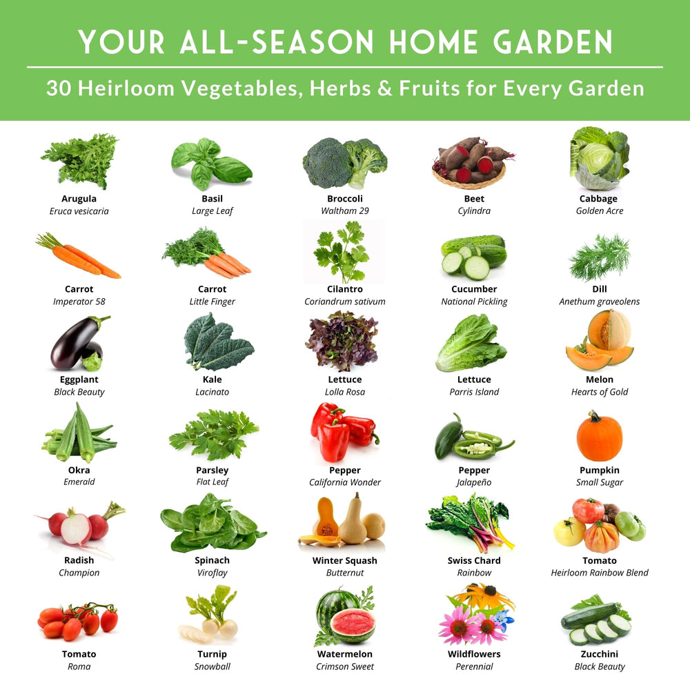 Close-up of SURVIVAL GARDEN SEEDS packets featuring tomatoes and lettuce