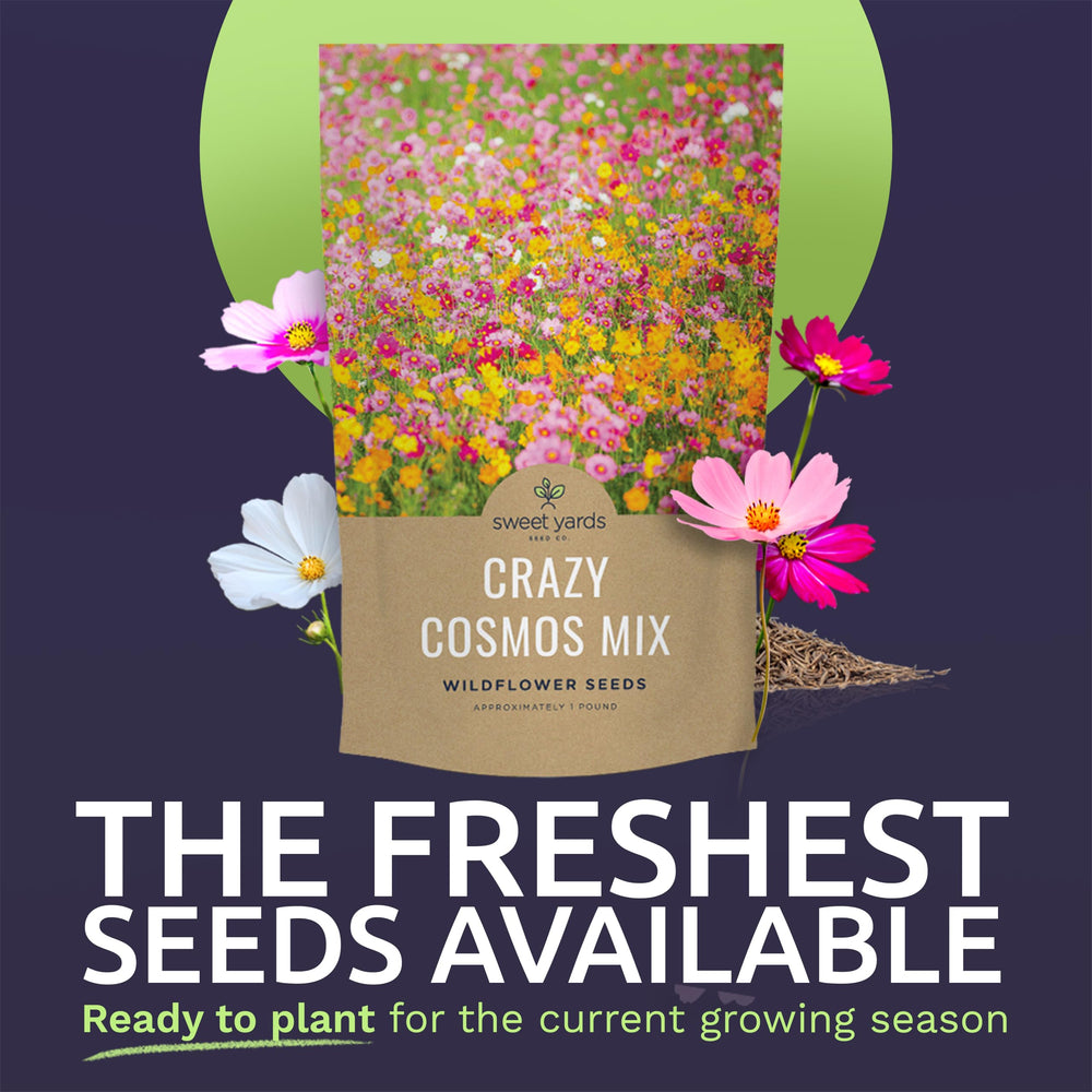 Close-up of SWEET YARDS Crazy Cosmos Seeds in packaging