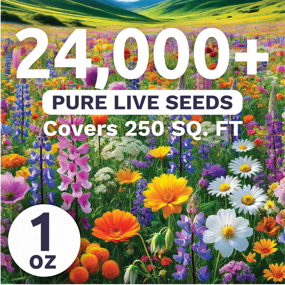 Close-up of SWEET YARDS wildflower seeds in premium packaging