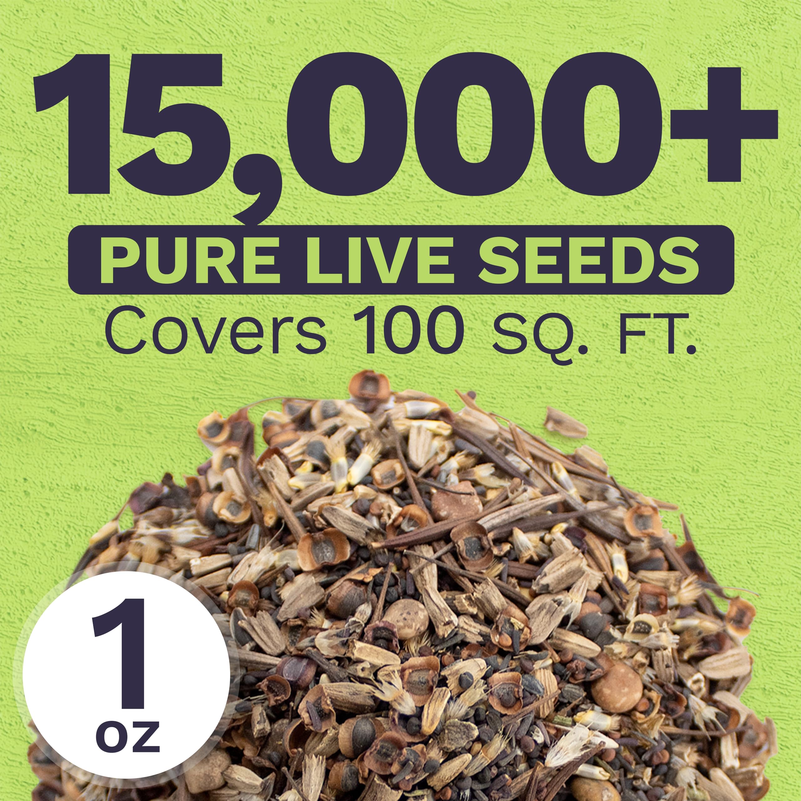 Close-up of SWEET YARDS wildflower seeds showing multiple seed varieties