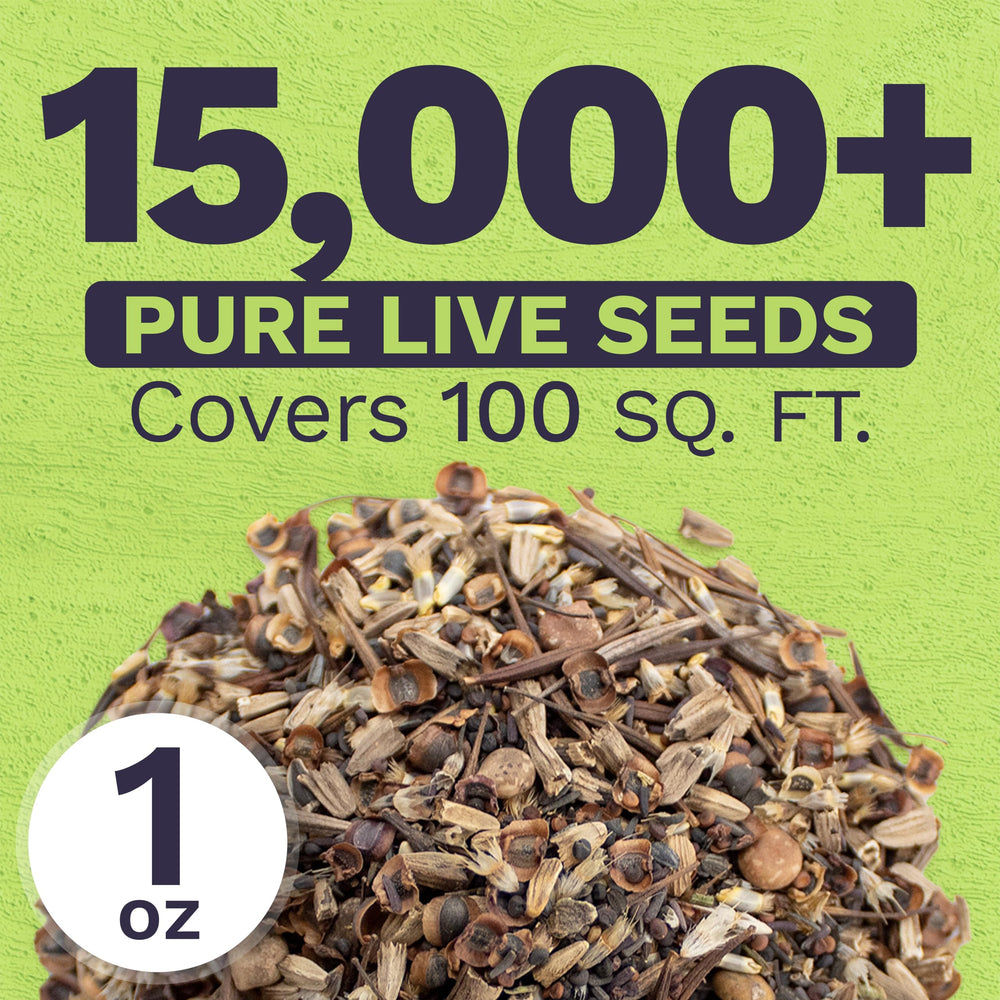 Close-up of SWEET YARDS wildflower seeds showing multiple seed varieties