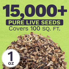 Close-up of SWEET YARDS wildflower seeds showing multiple seed varieties