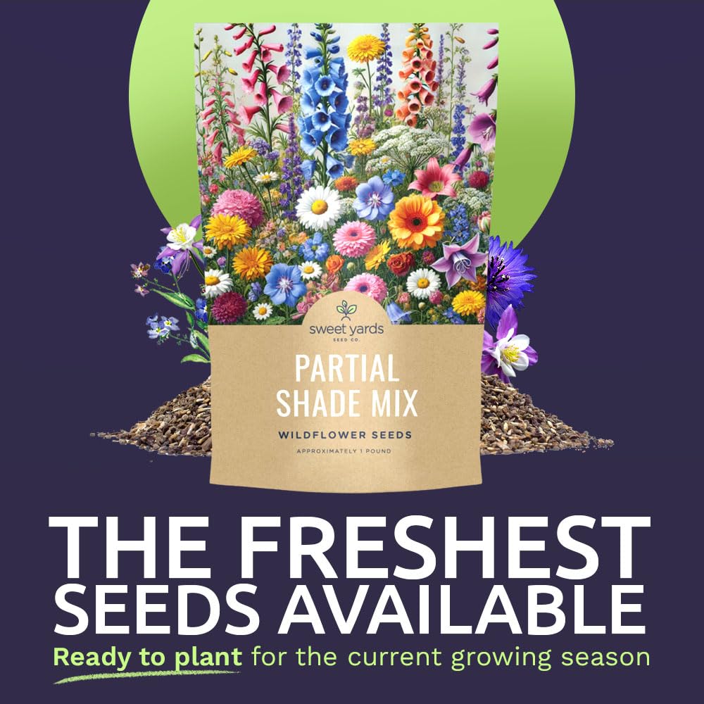 Close-up of SWEET YARDS wildflower seeds showing variety