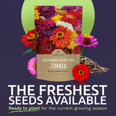 Close-up of SWEET YARDS Zinnia Seeds packaging with planting instructions