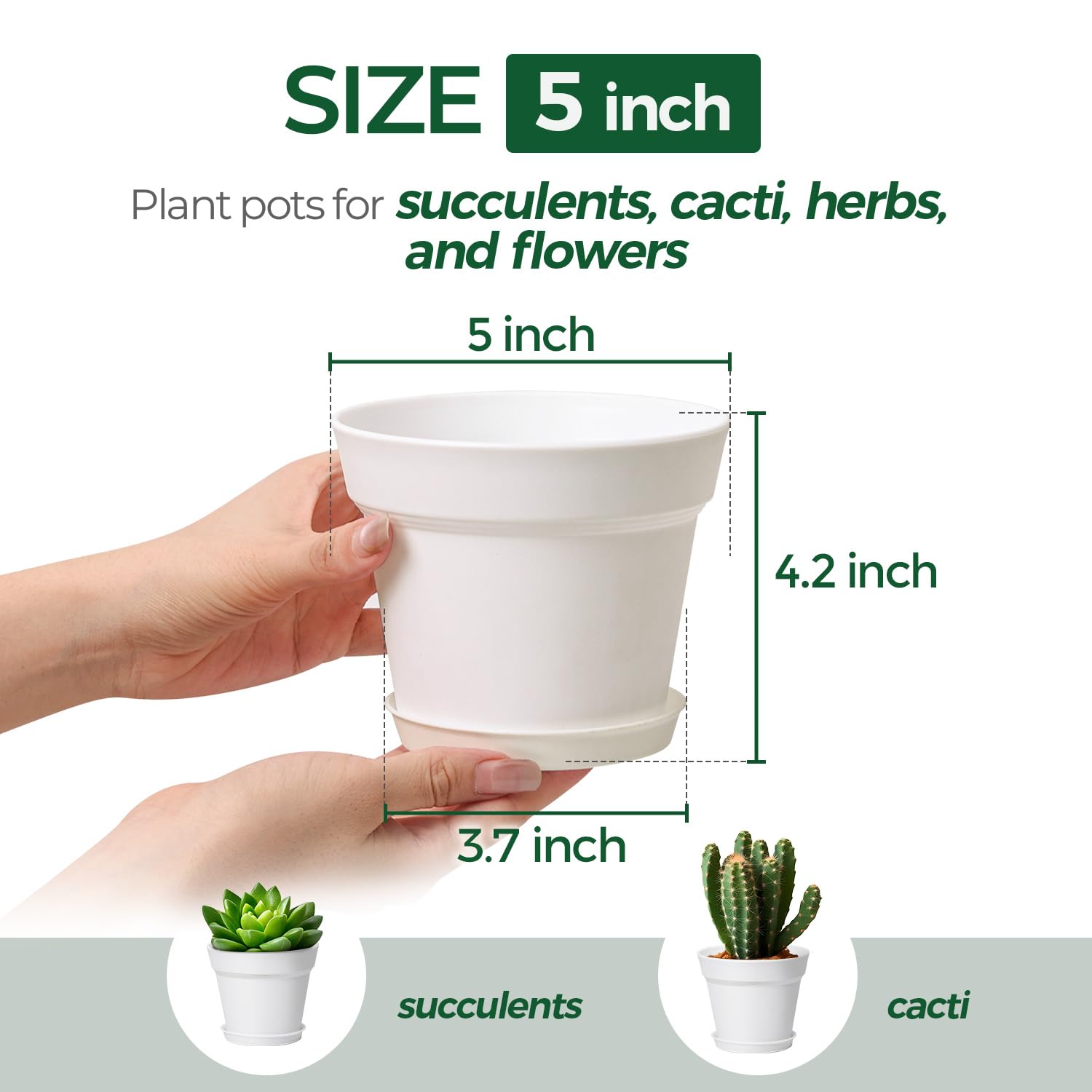 Close-up of T4U 5 inch plant pot with drainage hole