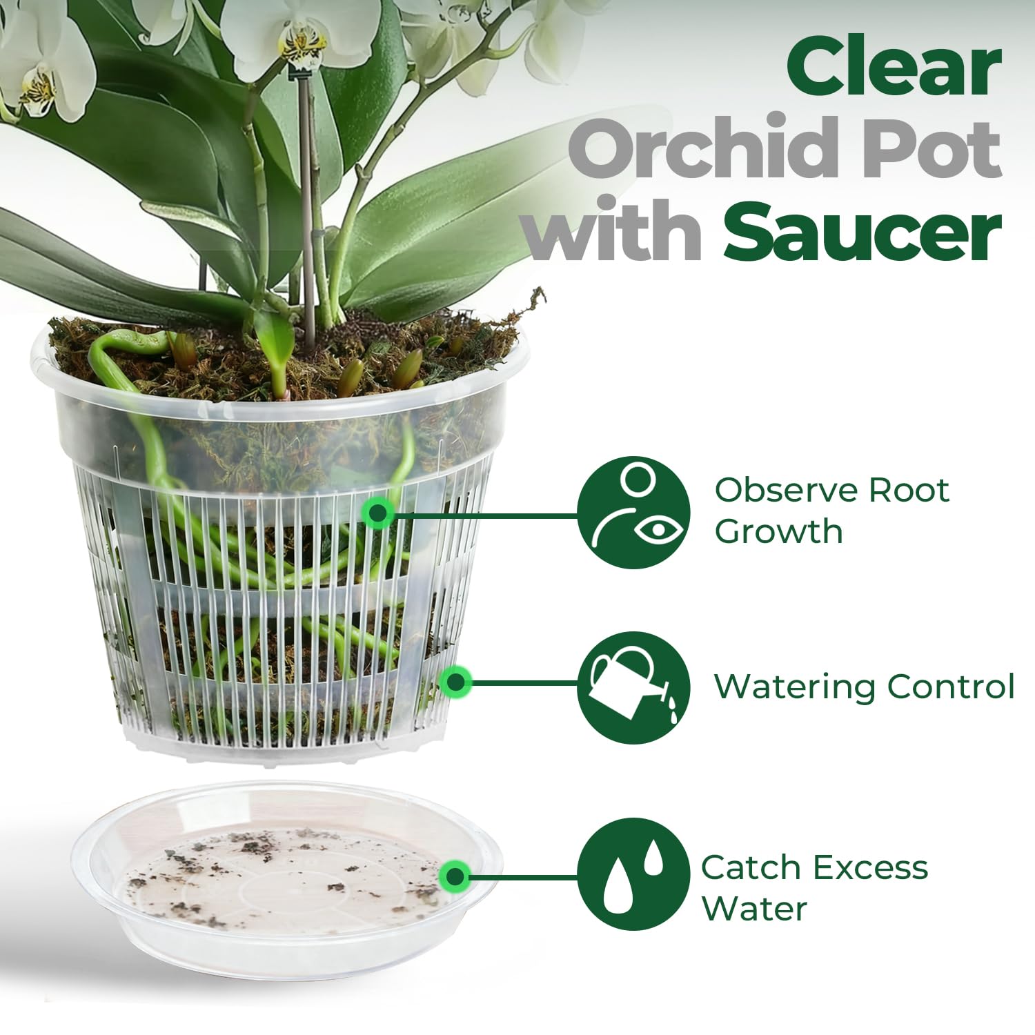 Close-up of T4U Clear Orchid Pot drainage holes