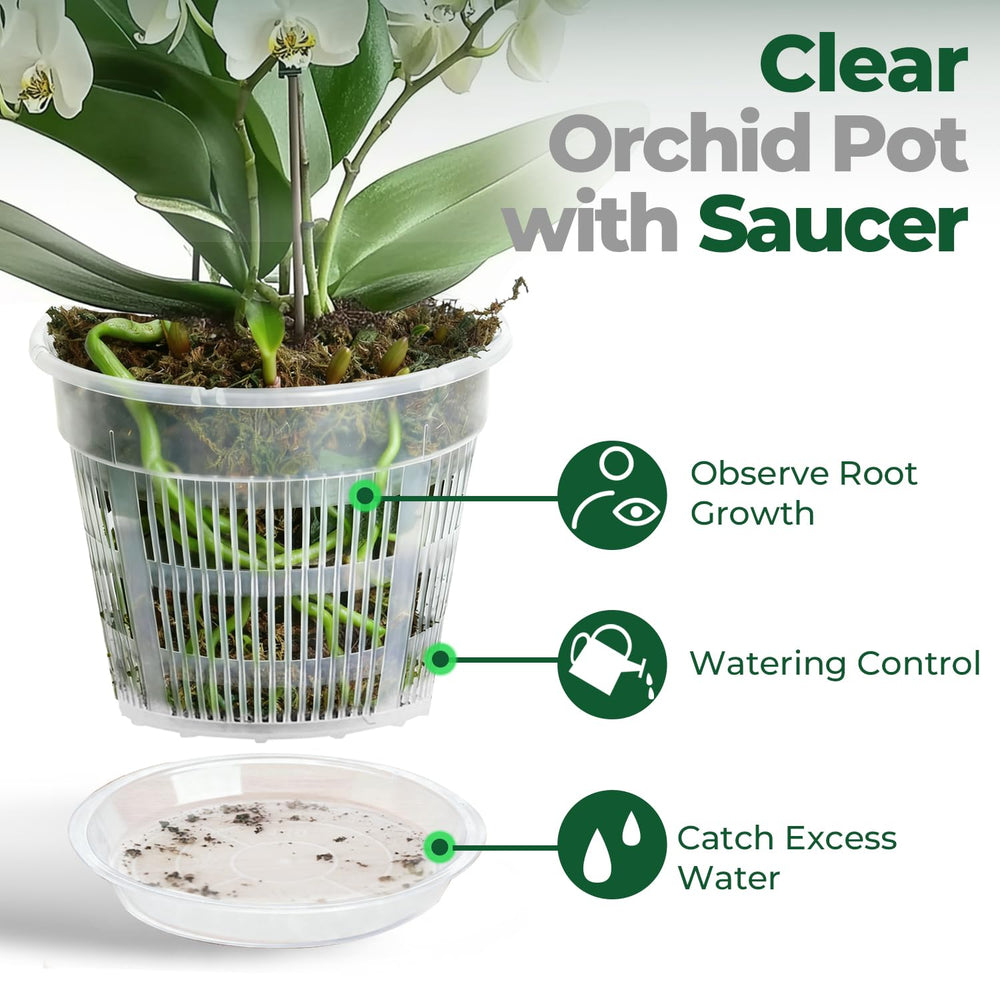 Close-up of T4U Clear Orchid Pot drainage holes