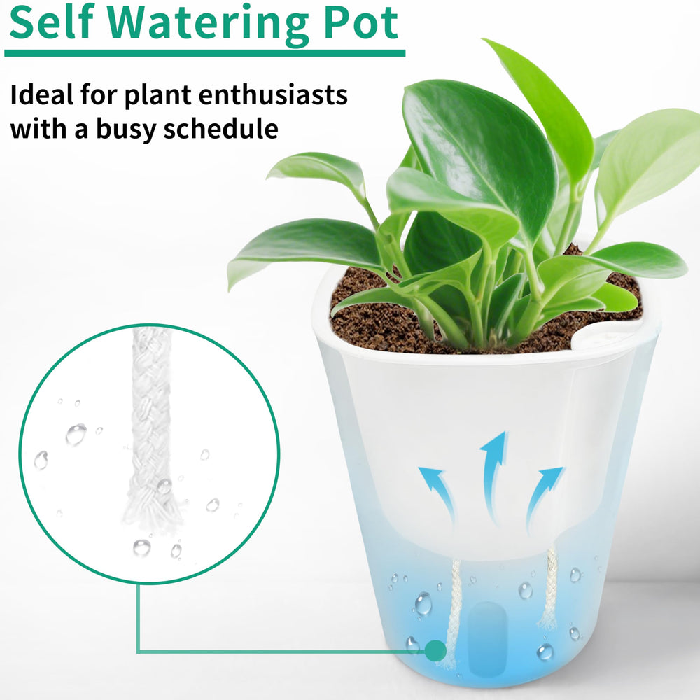Close-up of TCBWFY self watering pot with succulent plant inside