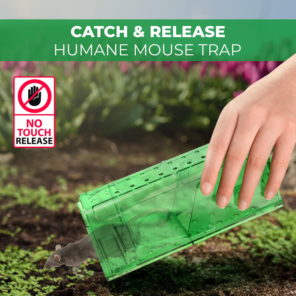 Close-up of Teal Elite mouse trap showing extra air holes