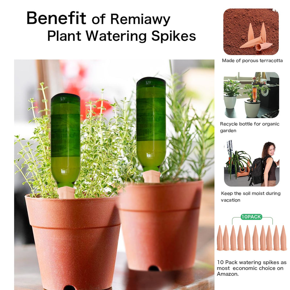 Close-up of terracotta watering spike design