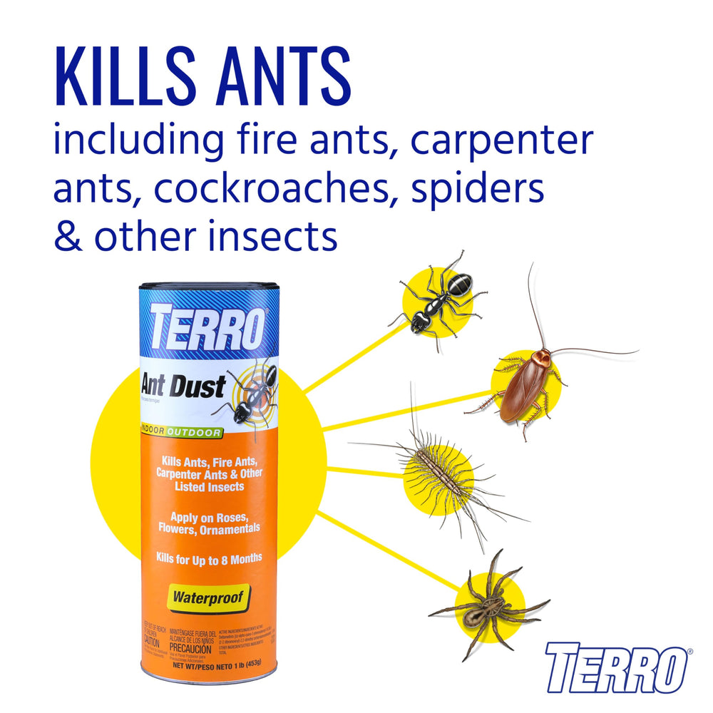 Close-up of Terro Ant Dust powder texture