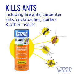 Close-up of Terro Ant Dust powder texture