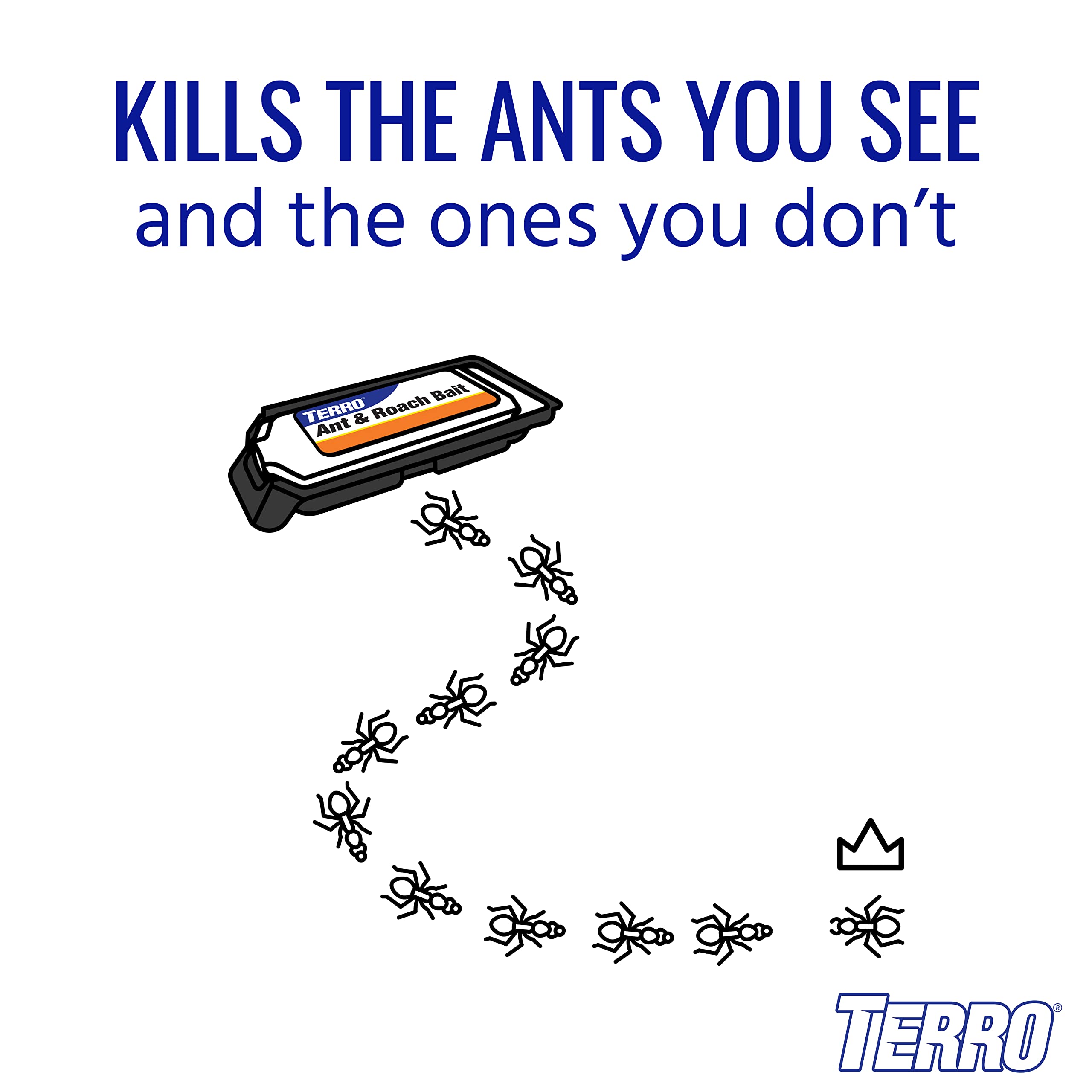 Close-up of Terro bait station entry points