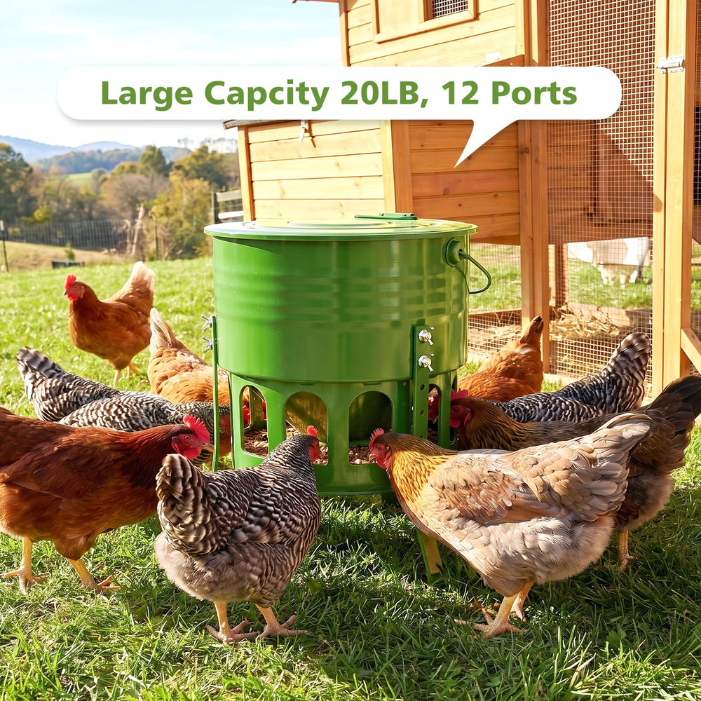 Close-up of Tgeyd Chicken Feeder showing metal construction and adjustable height