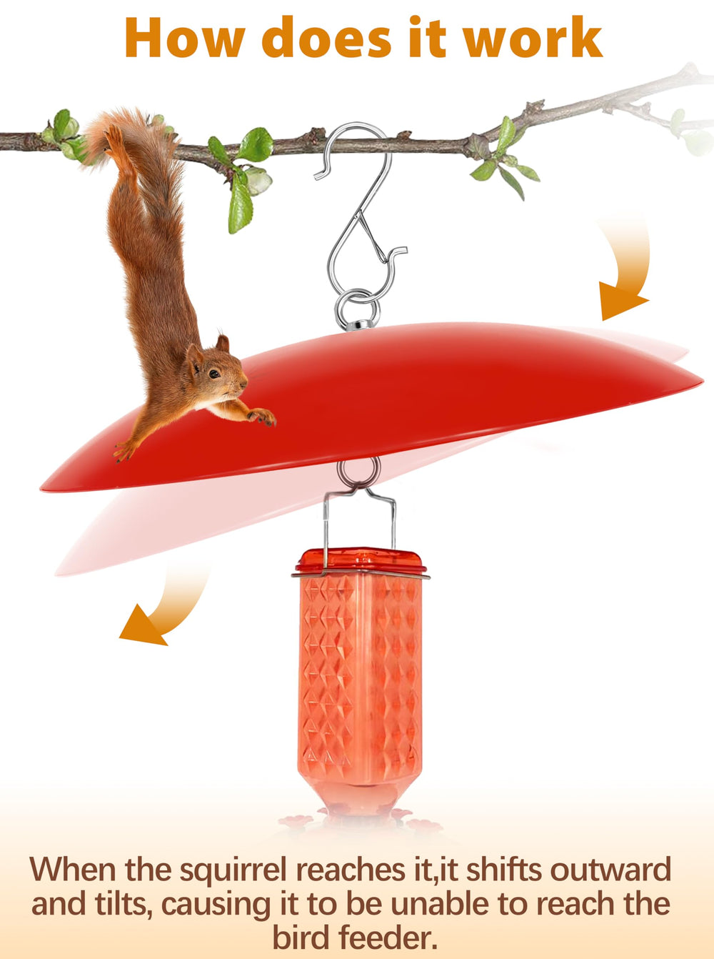 Close-up of the 13-inch dome cover for bird feeders