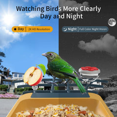 Close-up of the 2-megapixel lens on the oddkont bird feeder