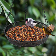 Close-up of the adjustable chain on Trieez Hanging Bird Feeder