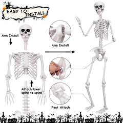 Close-up of the bone texture on the skeleton